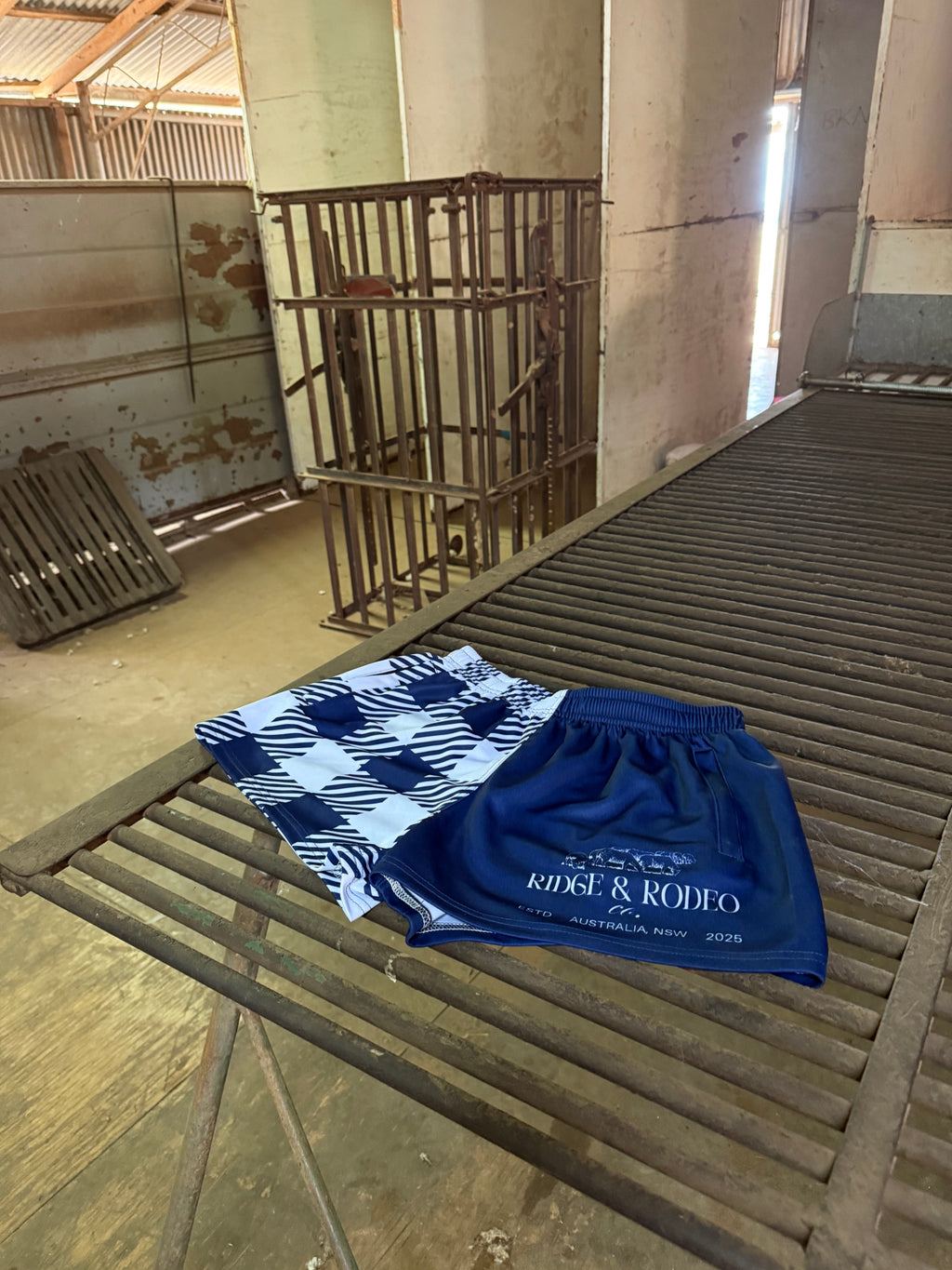 Footy Shorts/Zip Pockets - Gingham Blue