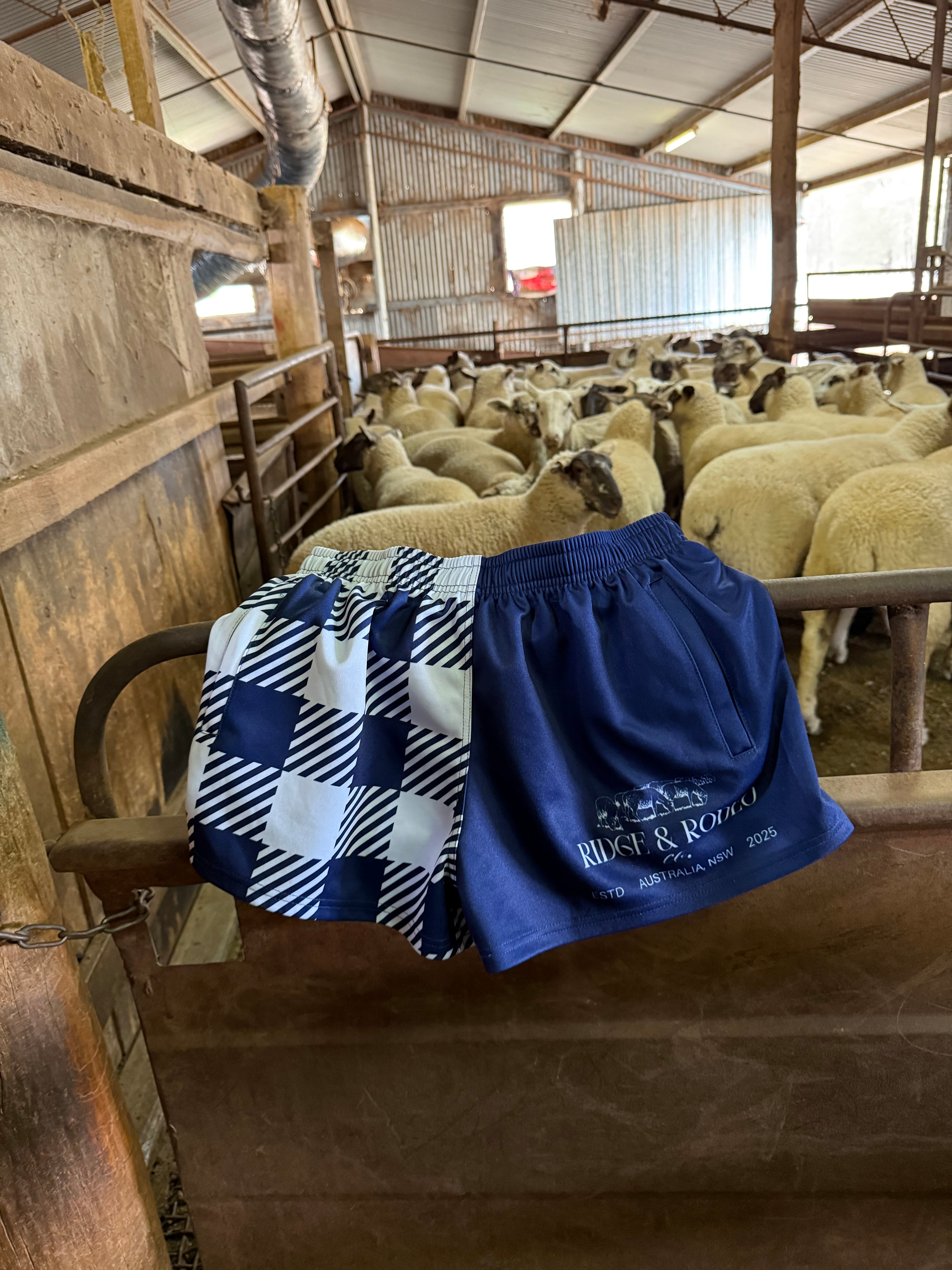 Footy Shorts/Zip Pockets - Gingham Blue